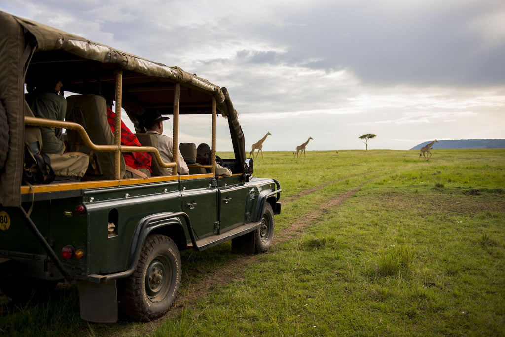 Game drive safari  gallery image 7