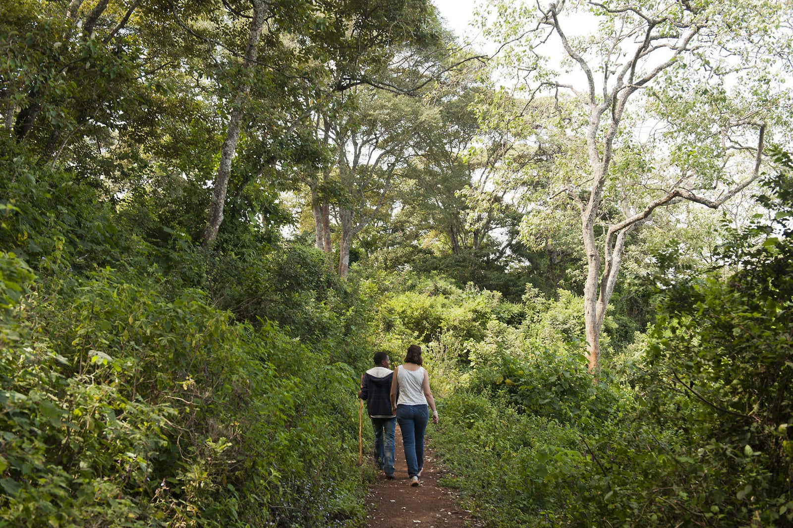 Guided walks in the Ngorongoro Conservation Area
