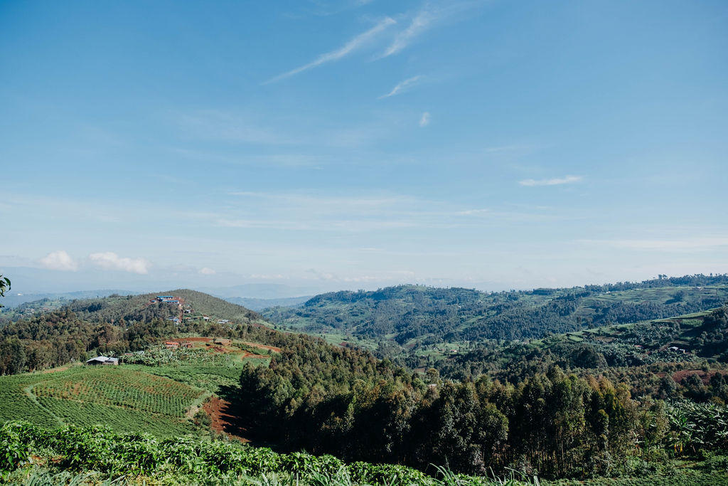 Discover Rwanda gallery image 6
