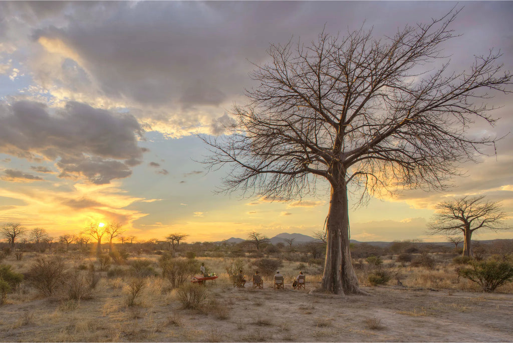 Kokoko - Scenic Views at Kokoko Camp, Ruaha National Park, Tanzania.