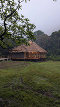 Koroi Forest Camp
