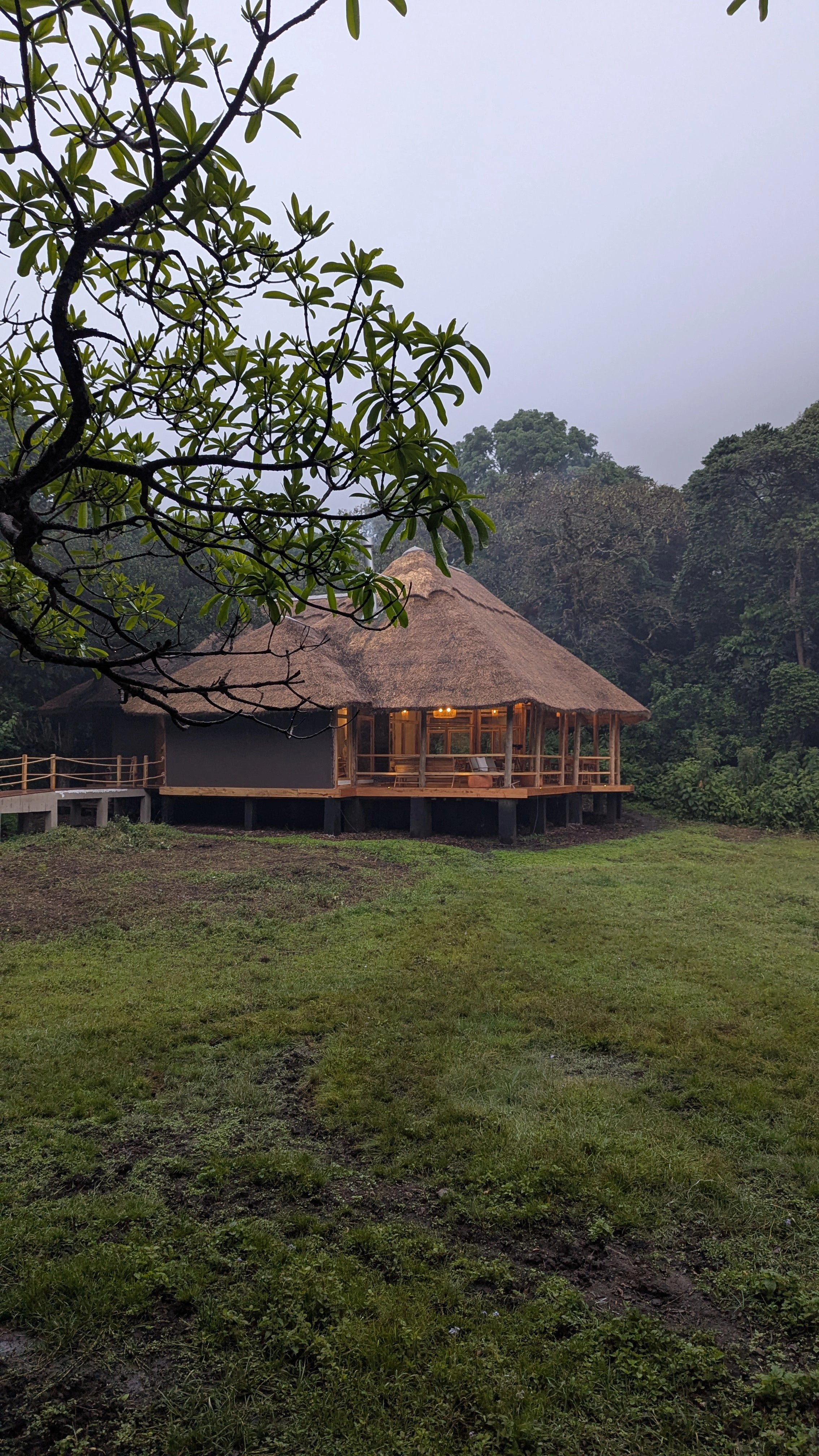 Koroi Forest Camp