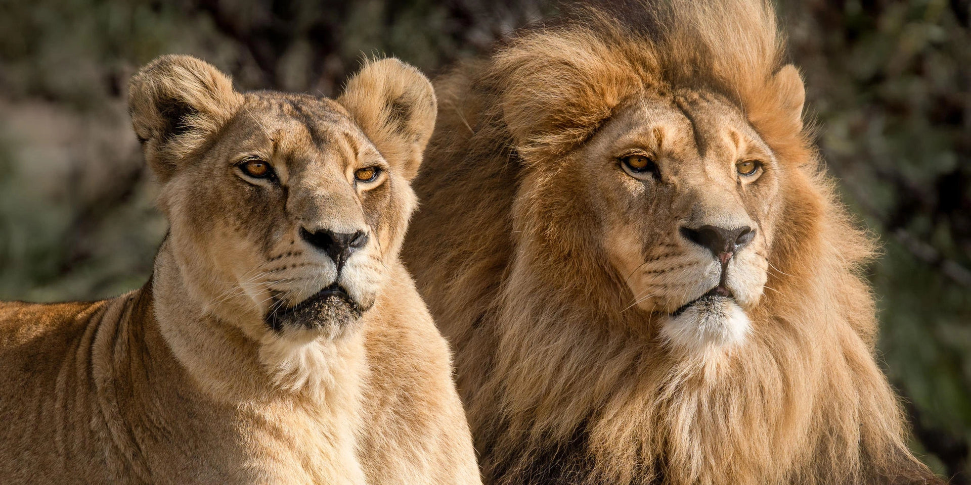Kruger National Park