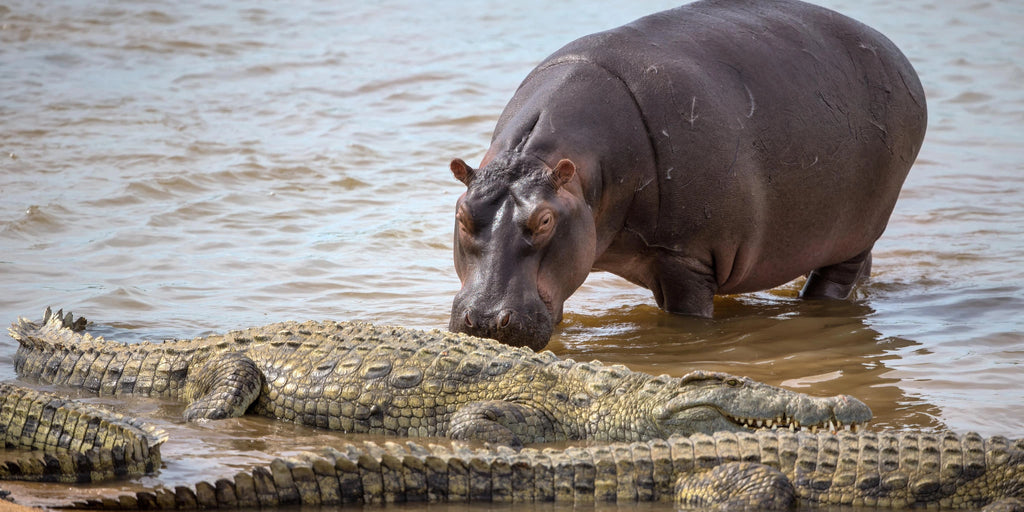 Kruger National Park