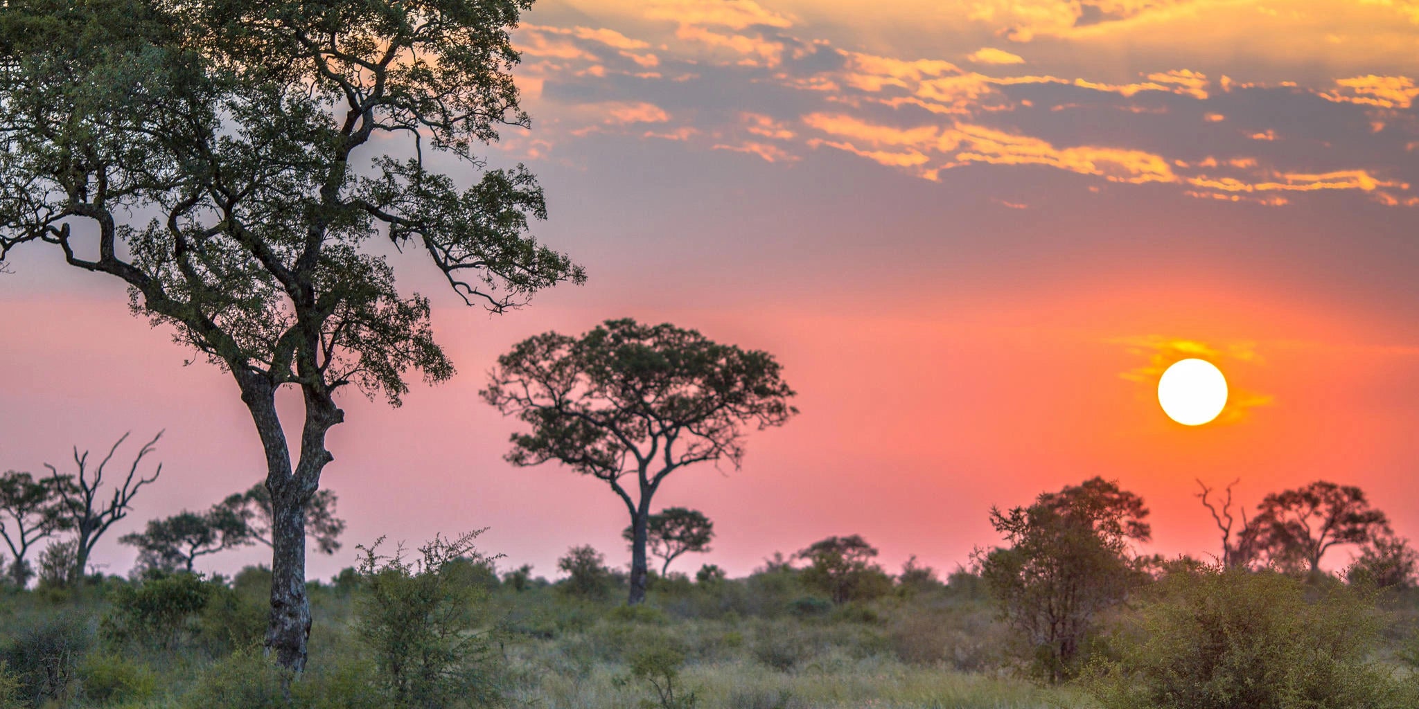 Kruger National Park