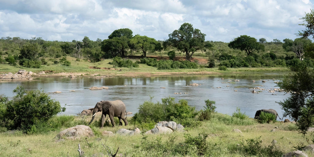 Kruger National Park