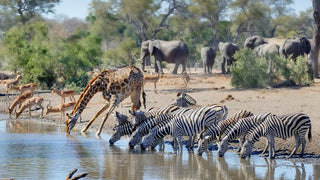Kruger National Park