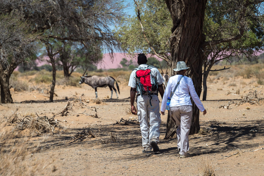 Wilderness Little Kulala – Guided Nature Trails  gallery image 4
