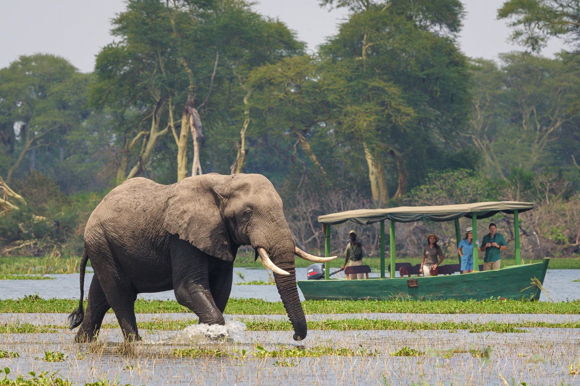 Kuthengo Camp at Kuthengo Camp, Liwonde National Park, Malawi.