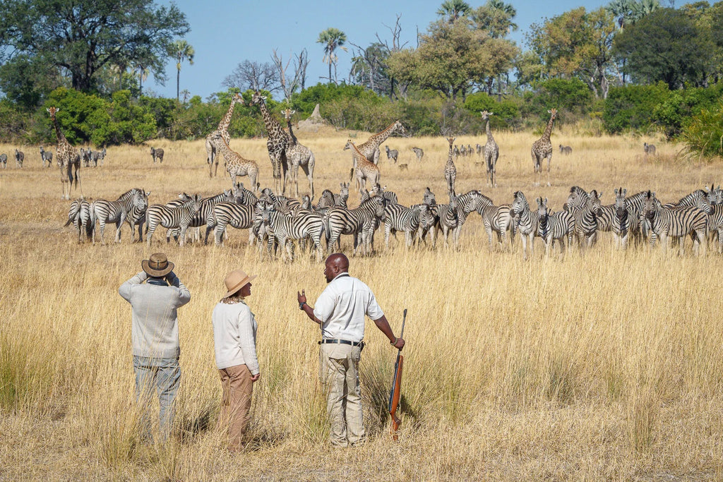 Wilderness Kwetsani at Kwetsani, Okavango Delta, Botswana.