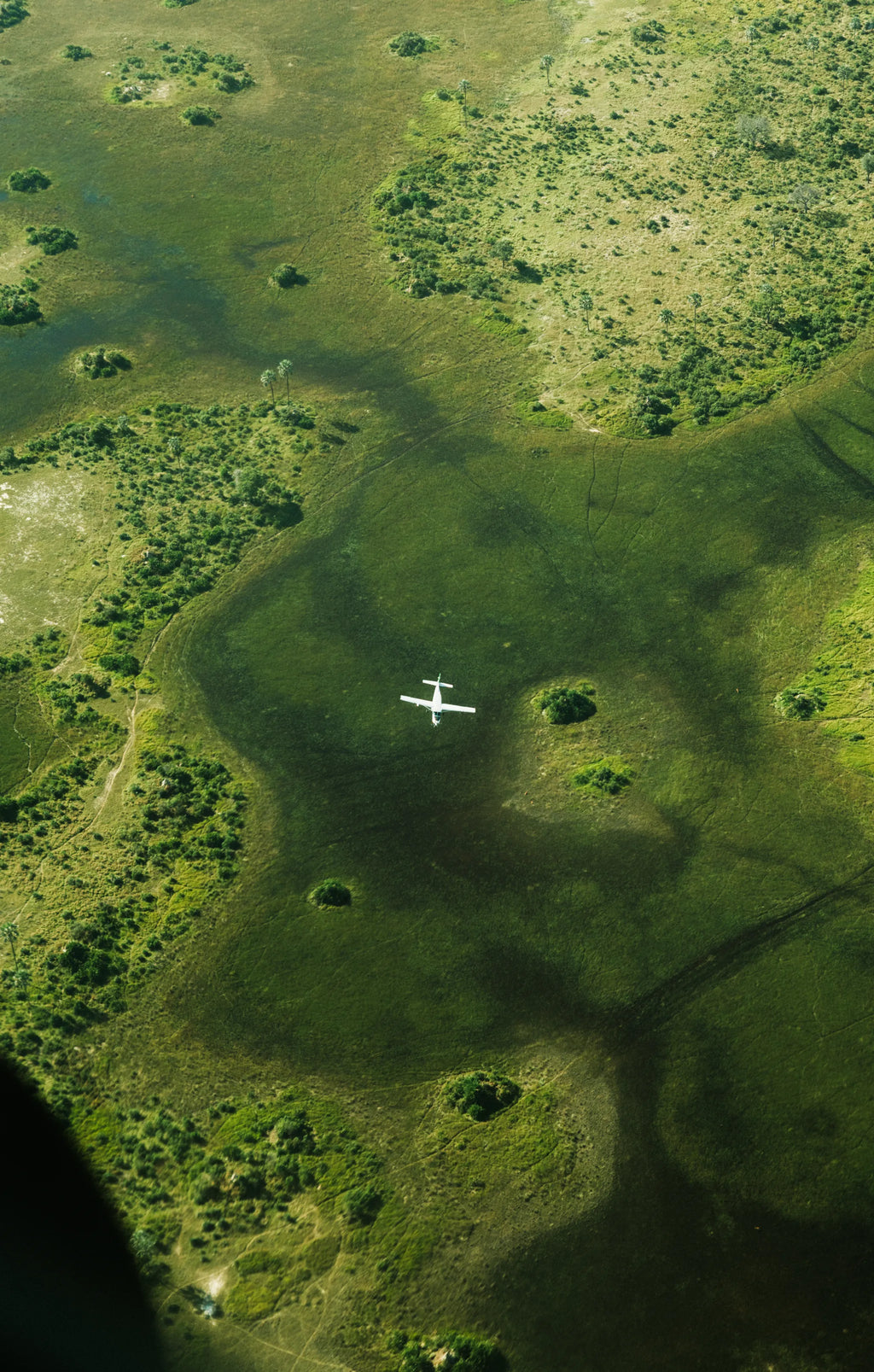 Kwetsani, Okavango Delta, Botswana gallery image 20.