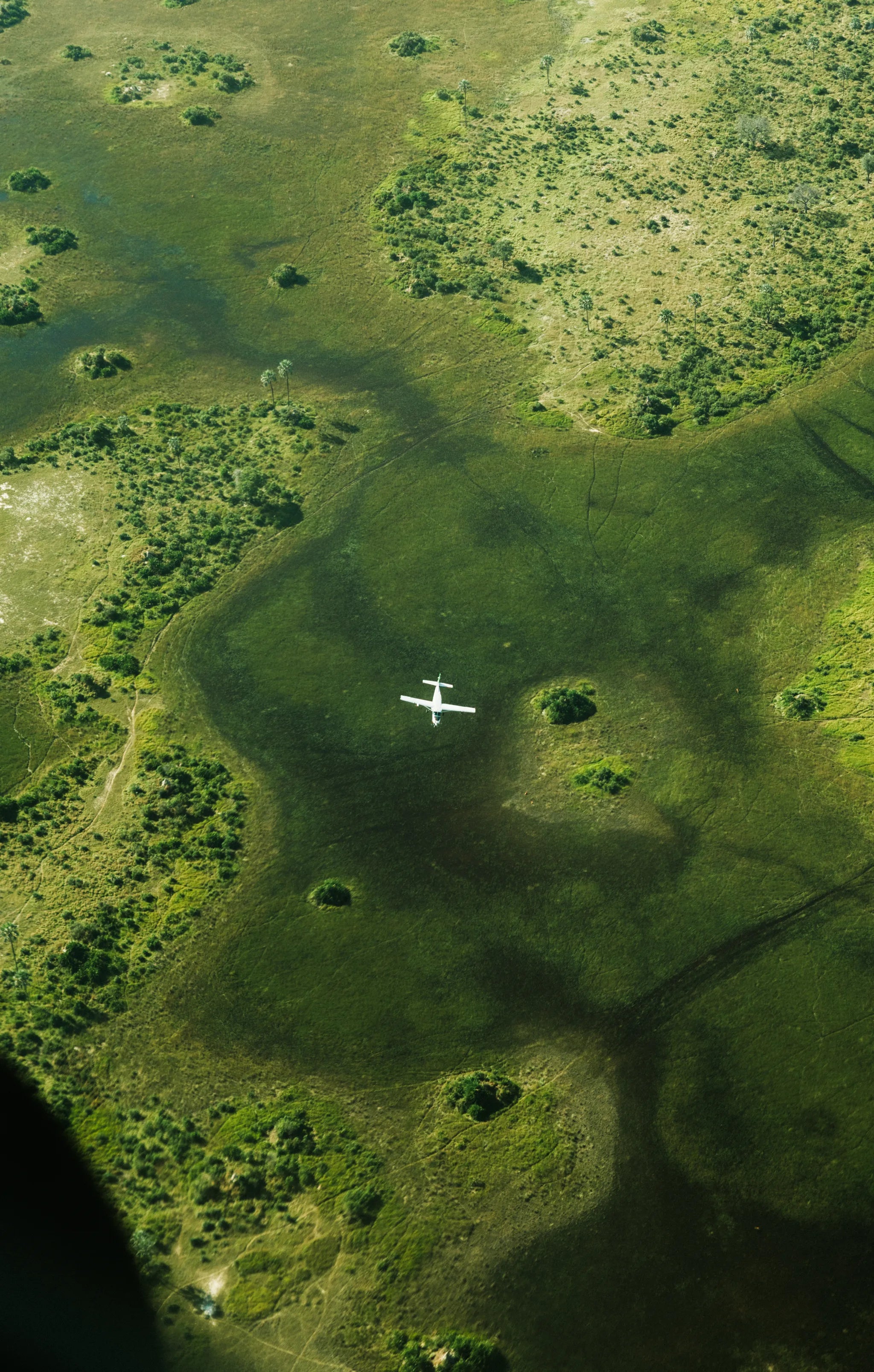 Kwetsani, Okavango Delta, Botswana gallery image 20.