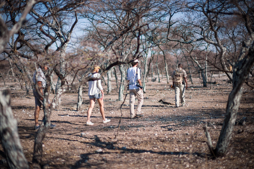 Bush Walks gallery image 4