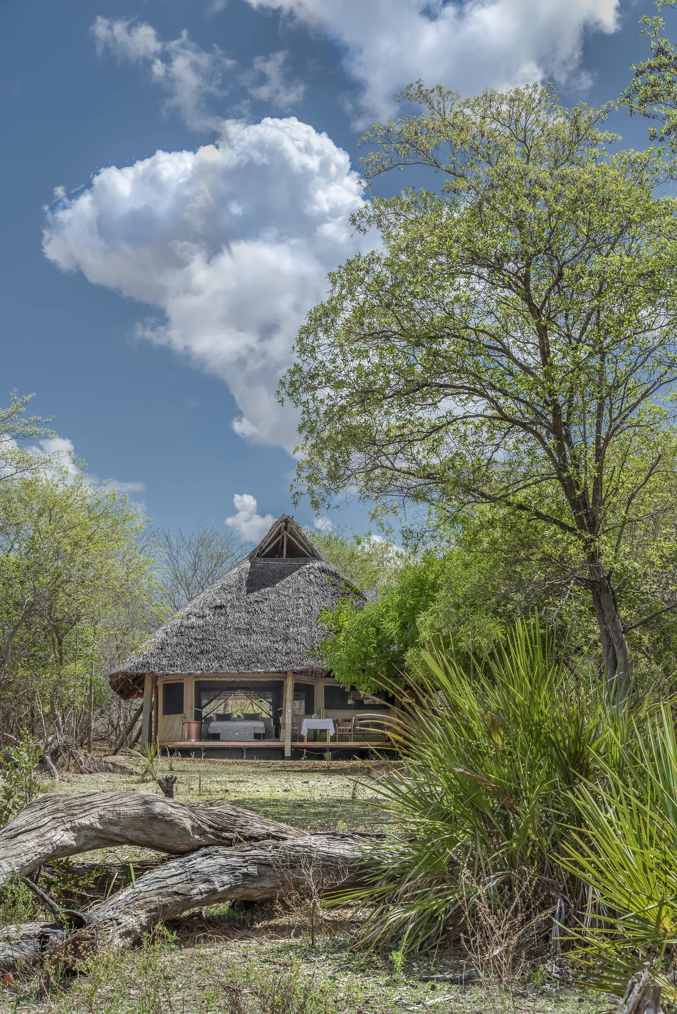 Siwandu at LABA Siwandu, Nyerere National Park, Tanzania.