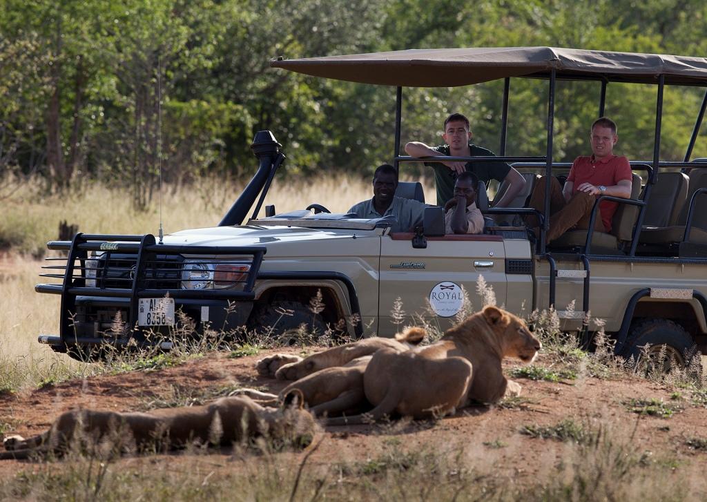 Game drives
