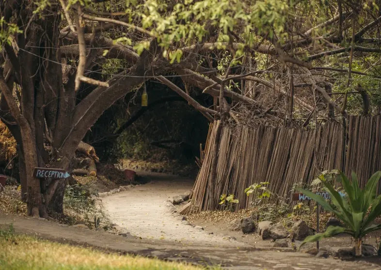Lake Natron Tented Camp Moivaro, Lake Natron, Tanzania featured image.