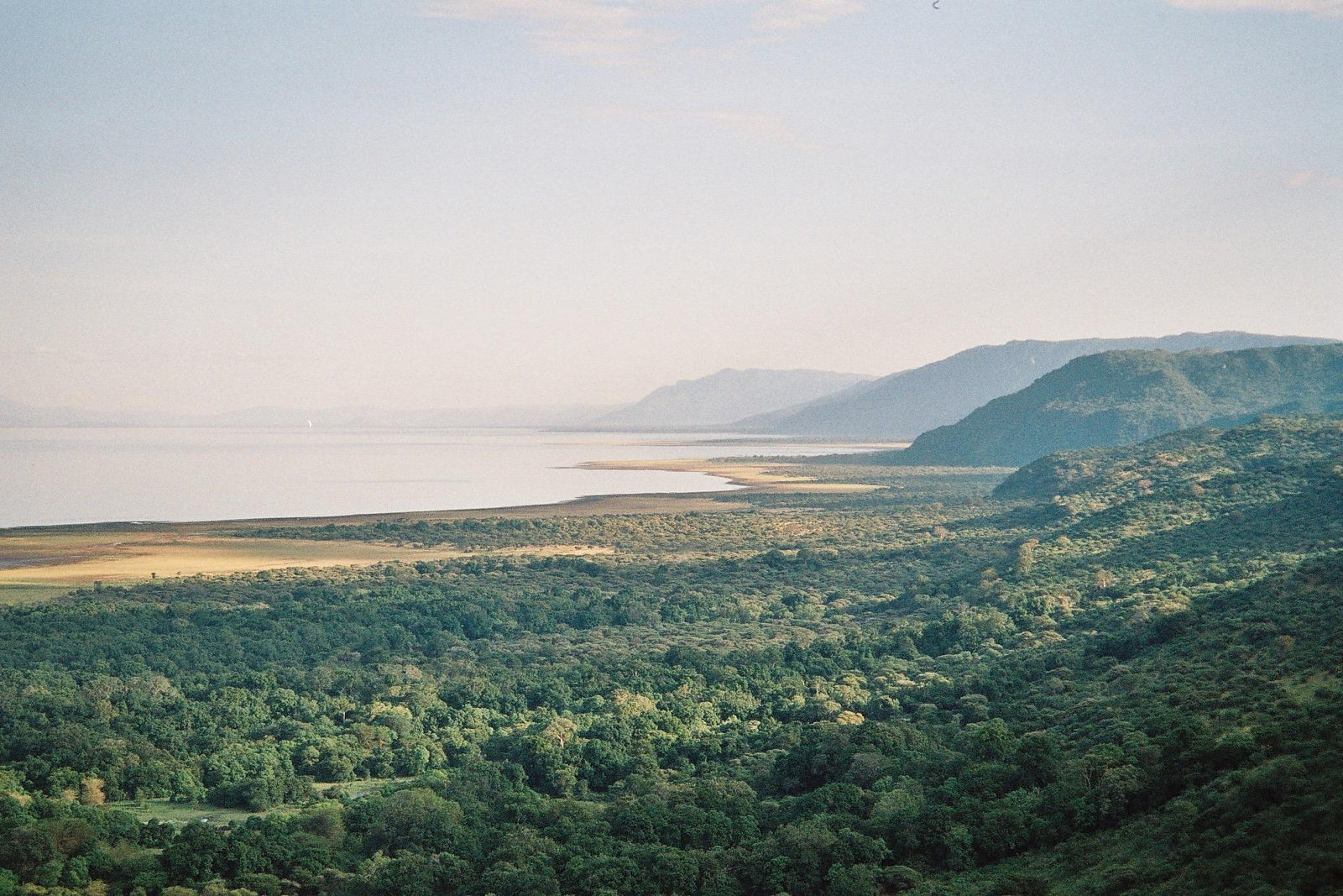 Safari day trips (additional charge)