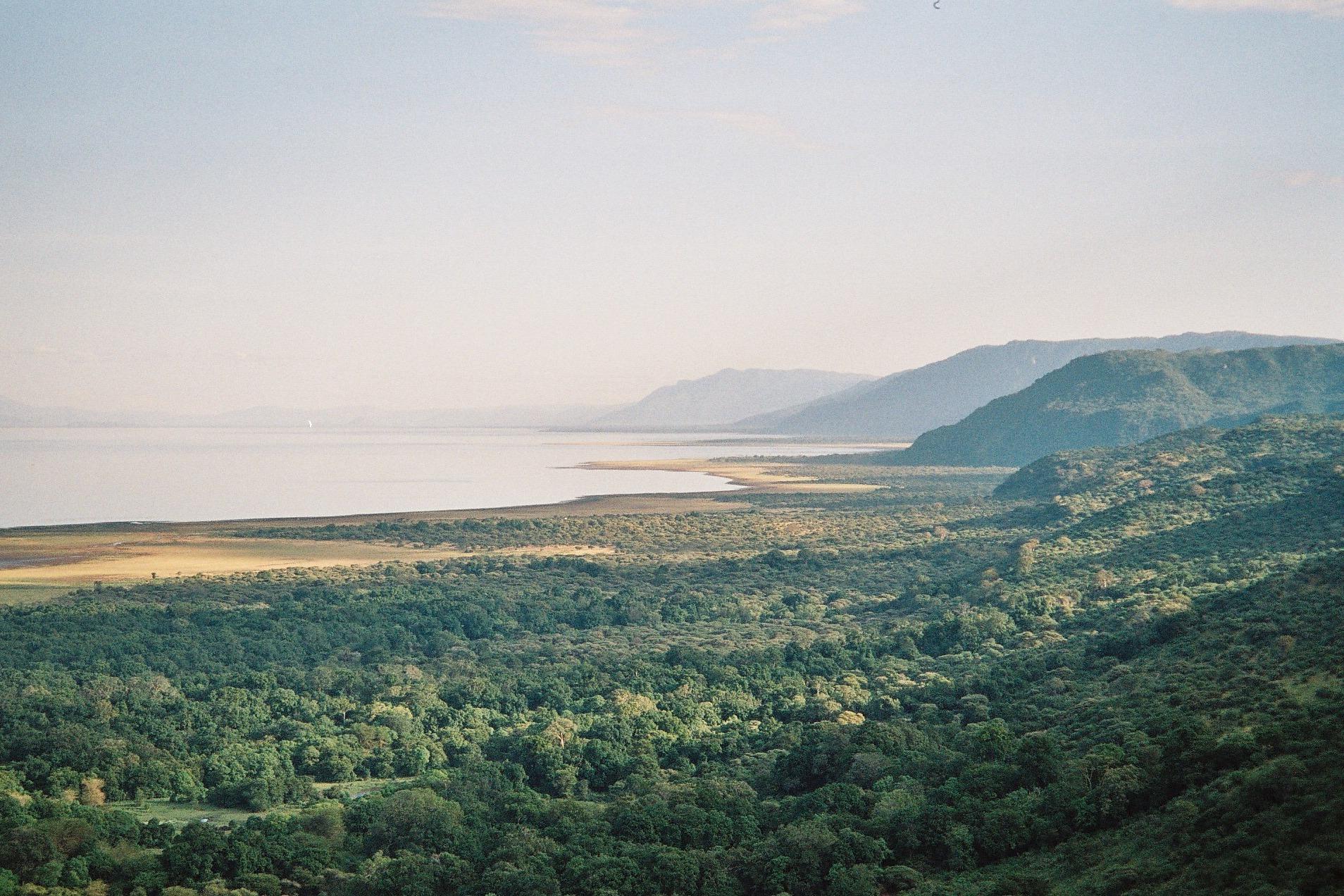 Safari day trips (additional charge) gallery image 1