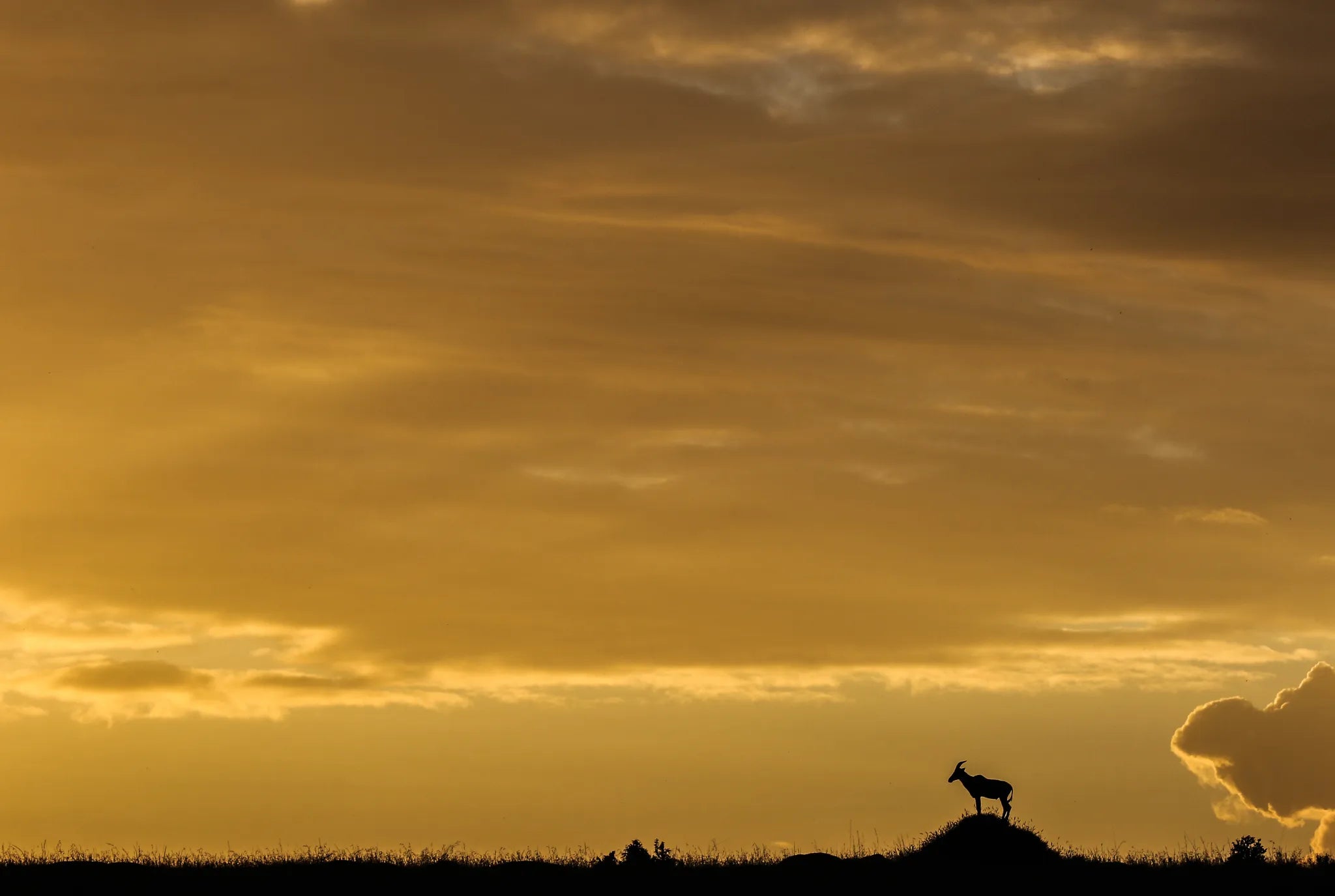 Sunset at Lamai Serengeti, Northern Serengeti, Tanzania.
