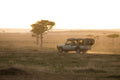 Game Drives 