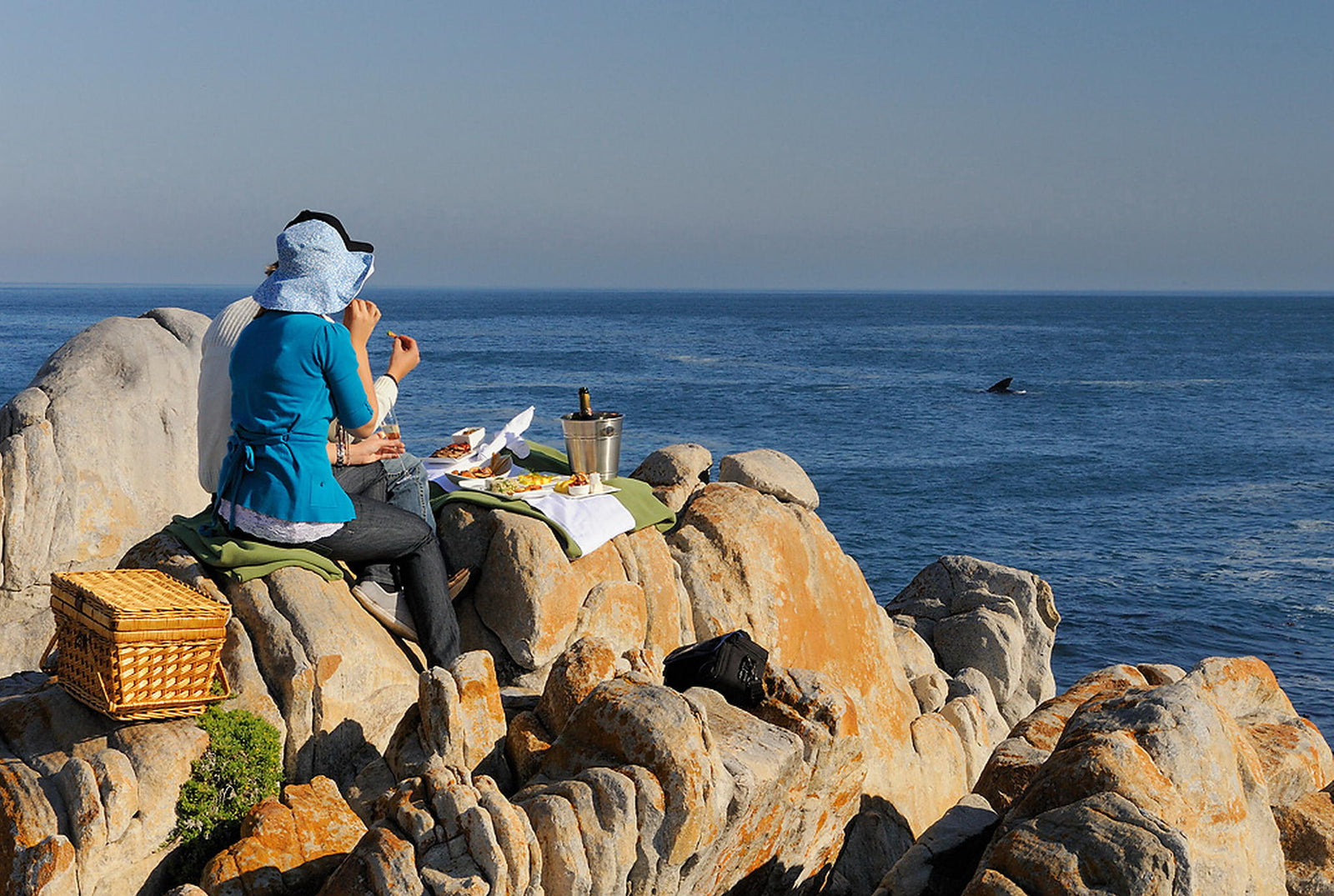Land-based Whale Watching (June- December)