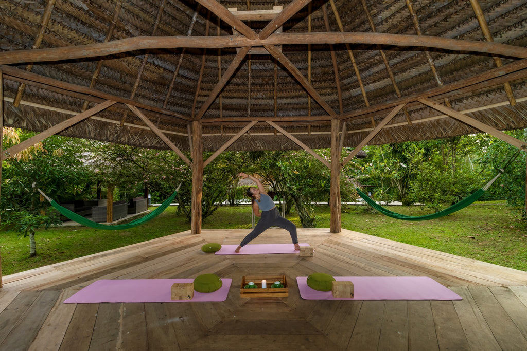 Yoga Momentum