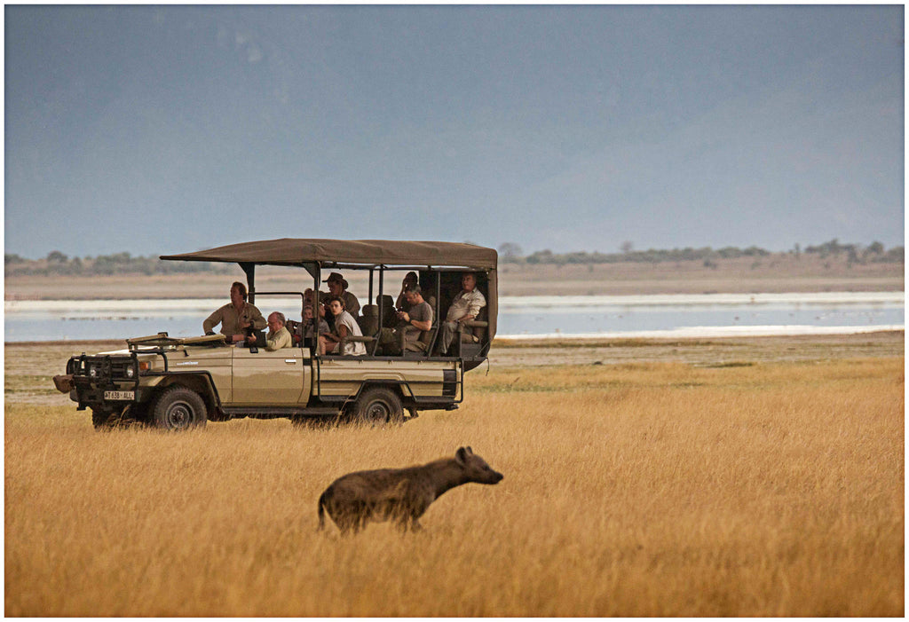 Day trips  gallery image 4