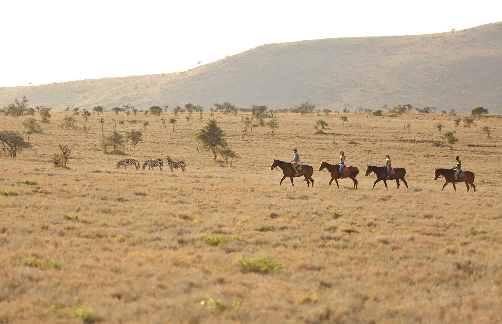 Camel and Horseback Safaris