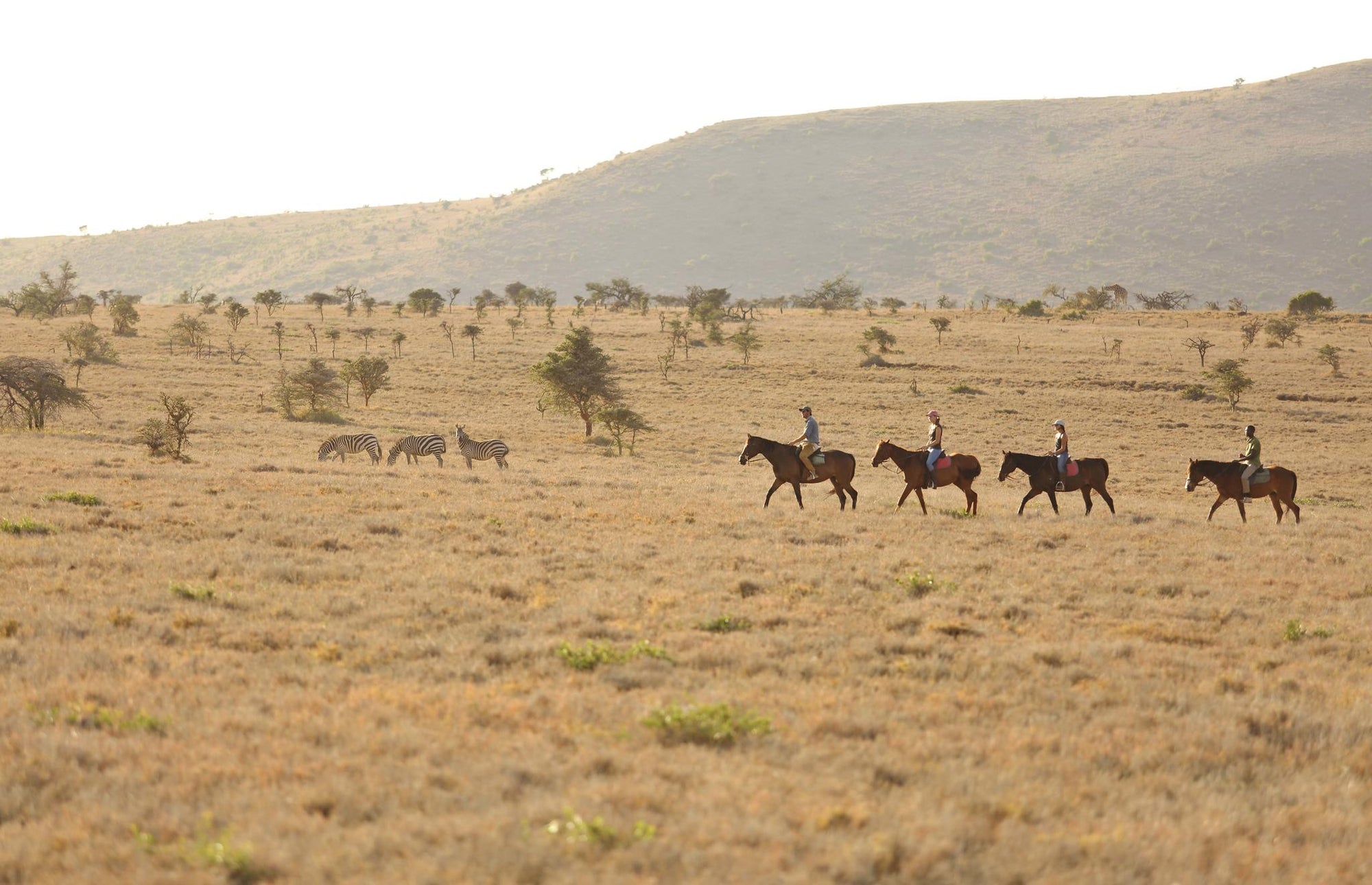 Camel and Horseback Safaris gallery image 1