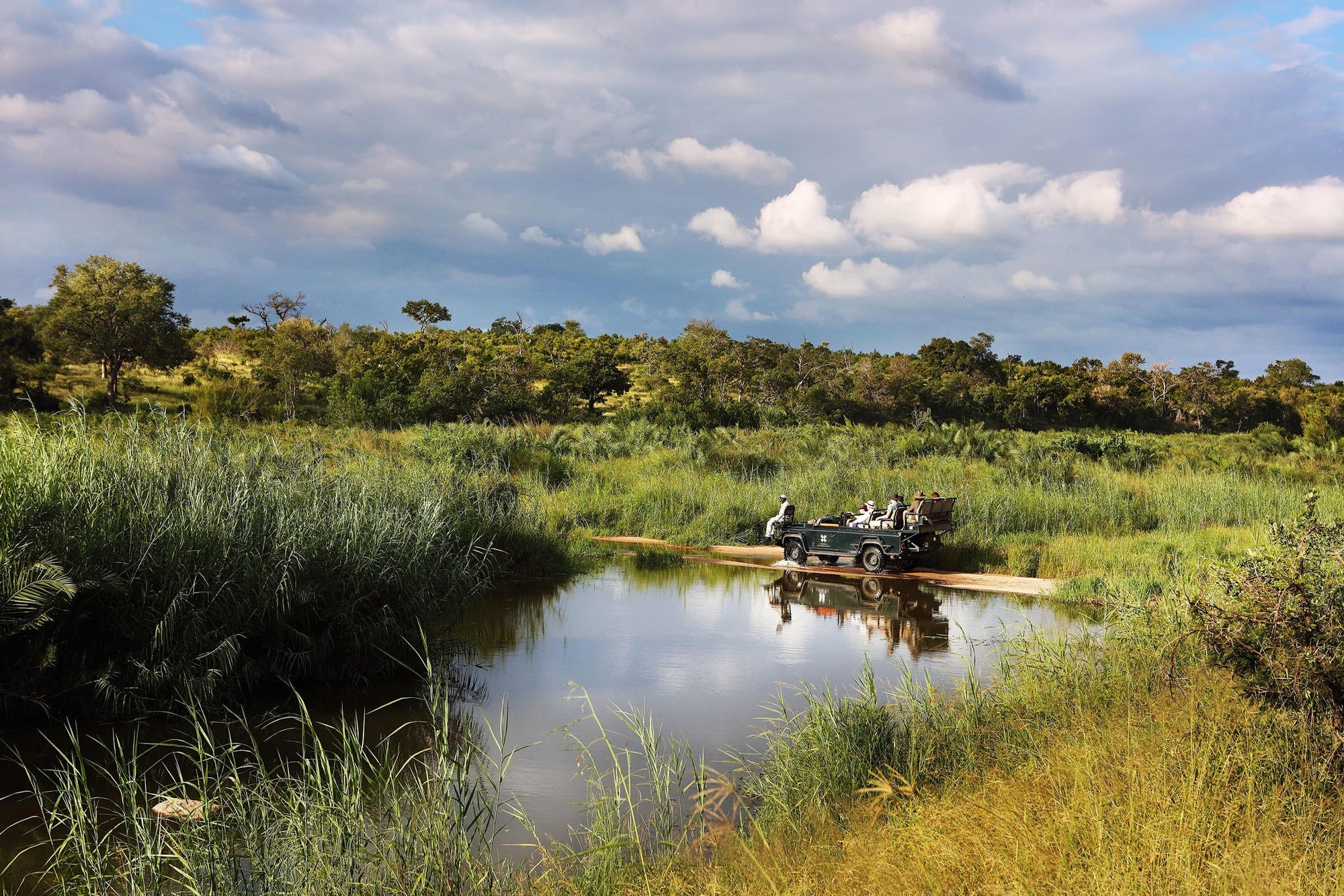 Game Drives  gallery image 16