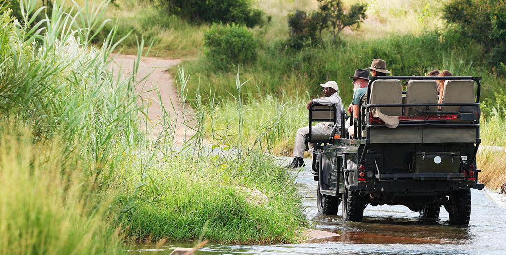 Game Drives  gallery image 5