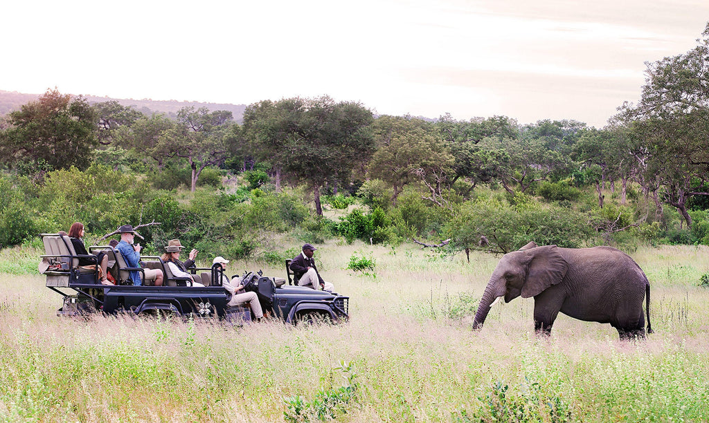 Game Drives  gallery image 10