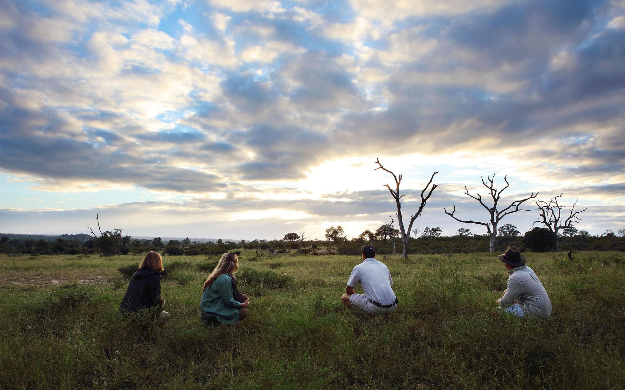 Bush Walks gallery image 8