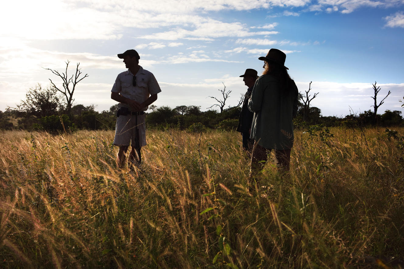 Bush Walks gallery image 7