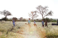 Bush Walks gallery image 1