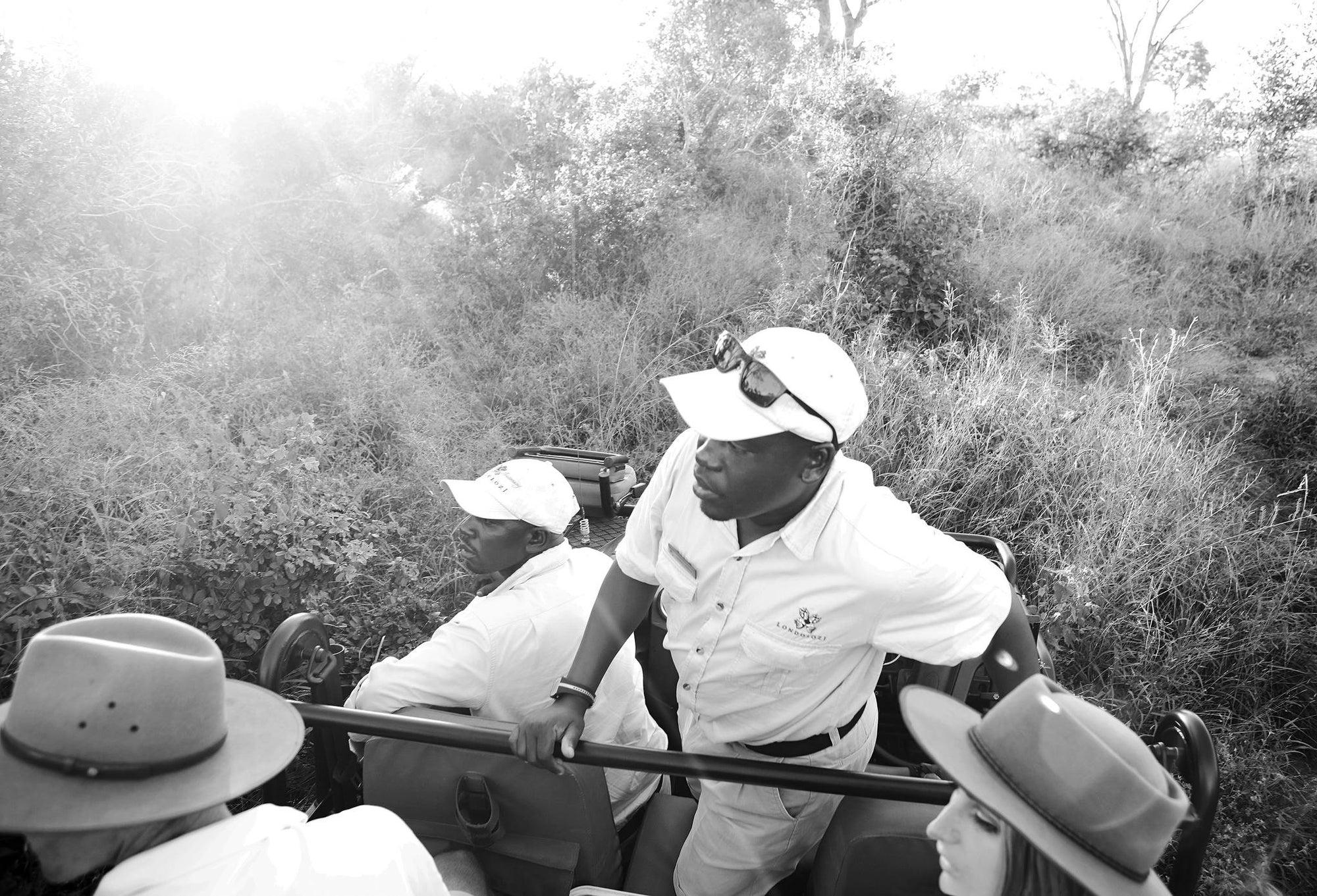 Game Drives  gallery image 14
