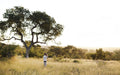 Bush Walks gallery image 1