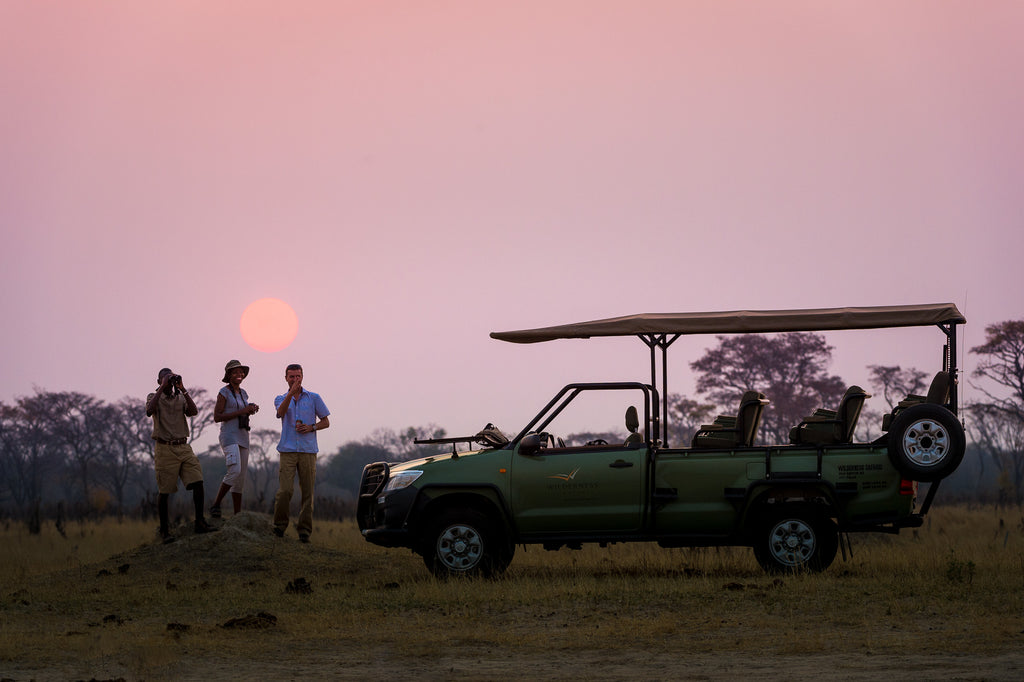 Wilderness Linkwasha – Night Drives