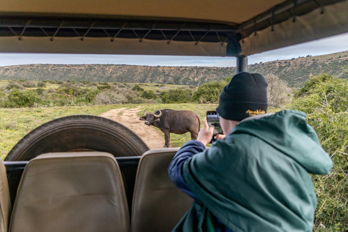 bukela-game-lodge-on-amakhala-private-game-reserve