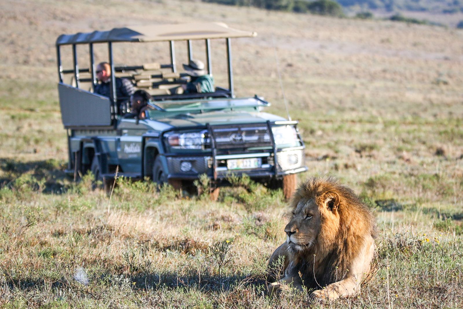 hlosi-game-lodge-on-amakhala-private-game-reserve