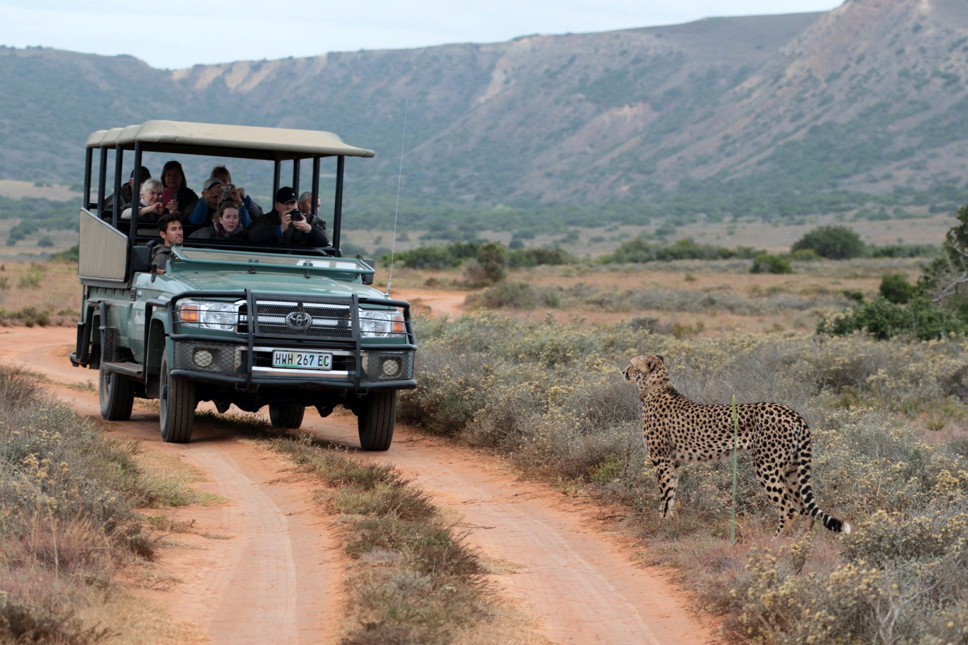 hlosi-game-lodge-on-amakhala-private-game-reserve