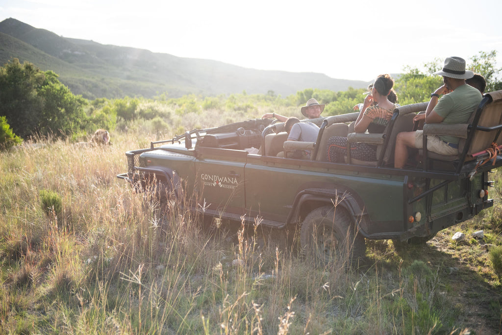 Game Drives  gallery image 5