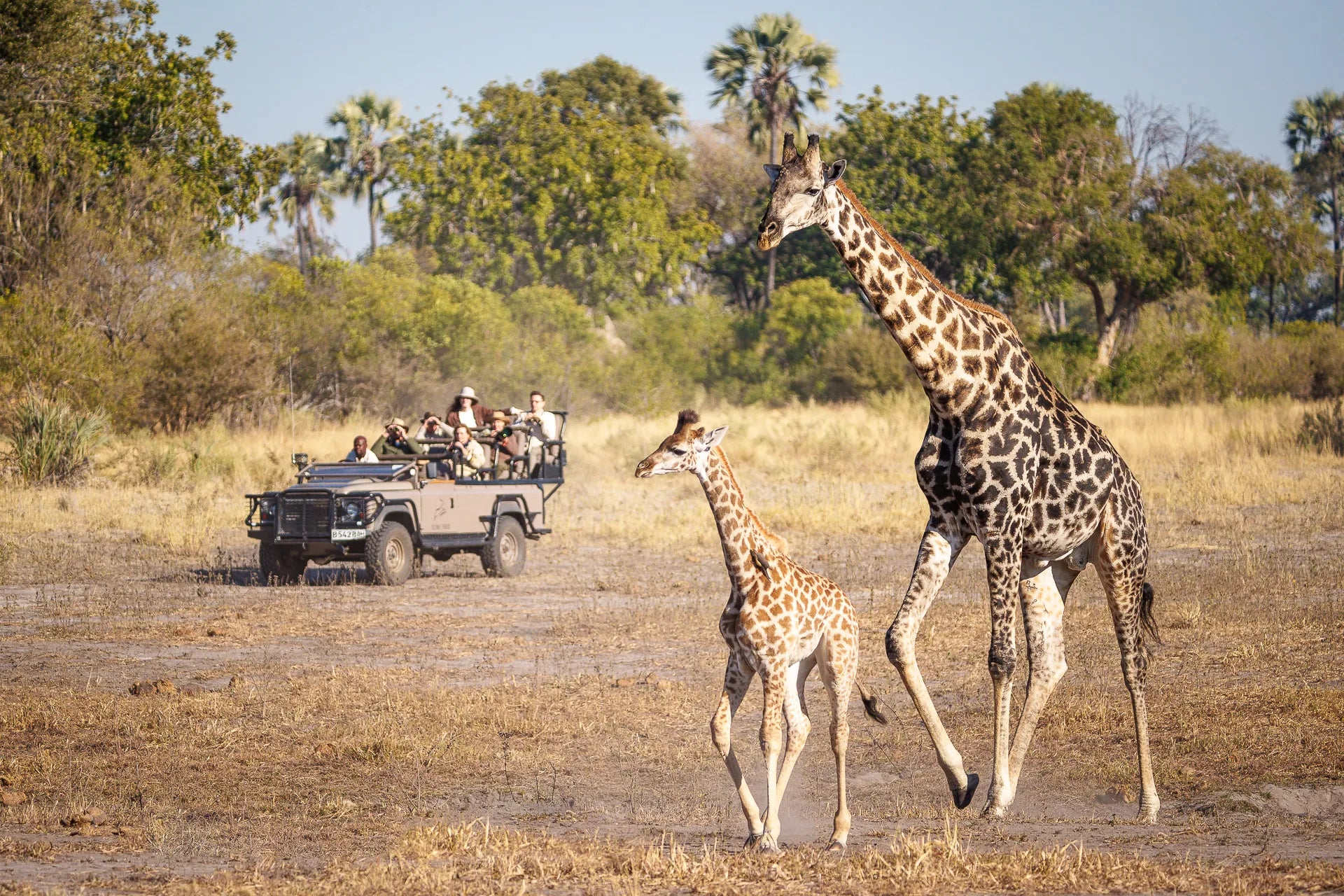Wilderness Little Tubu at Little Tubu, Okavango Delta, Botswana.