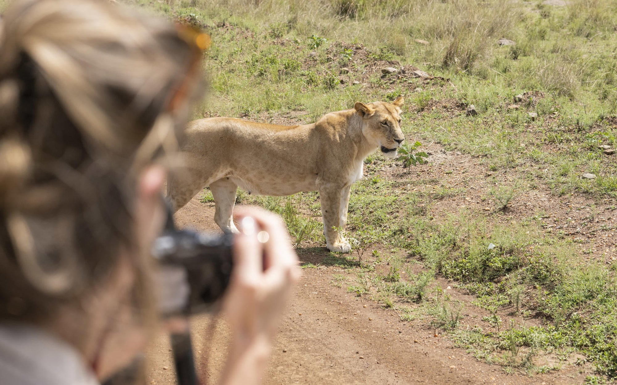 Game Drives gallery image 8