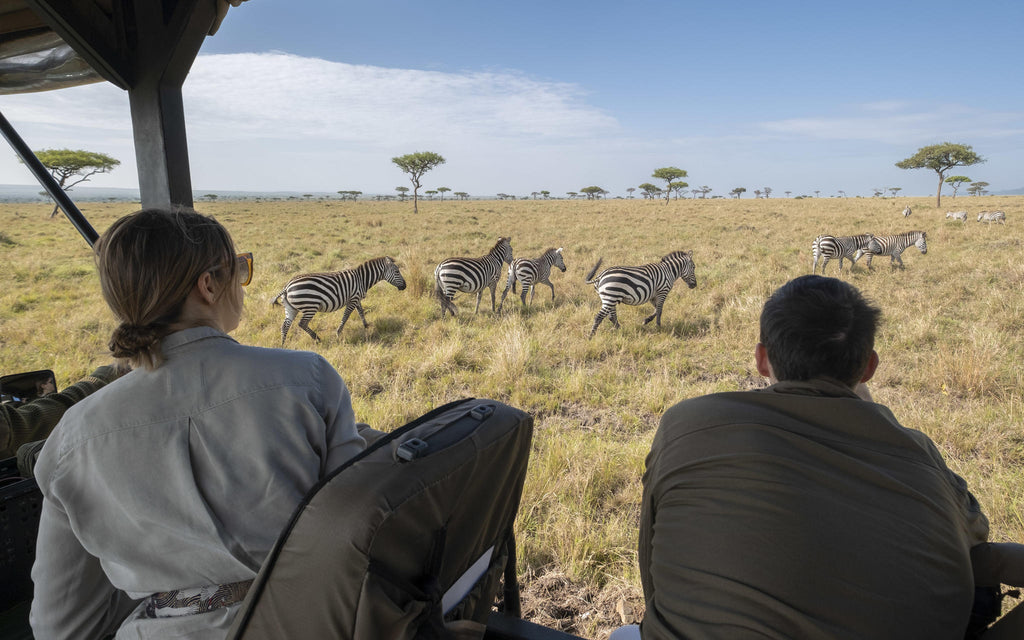 Game Drives gallery image 9