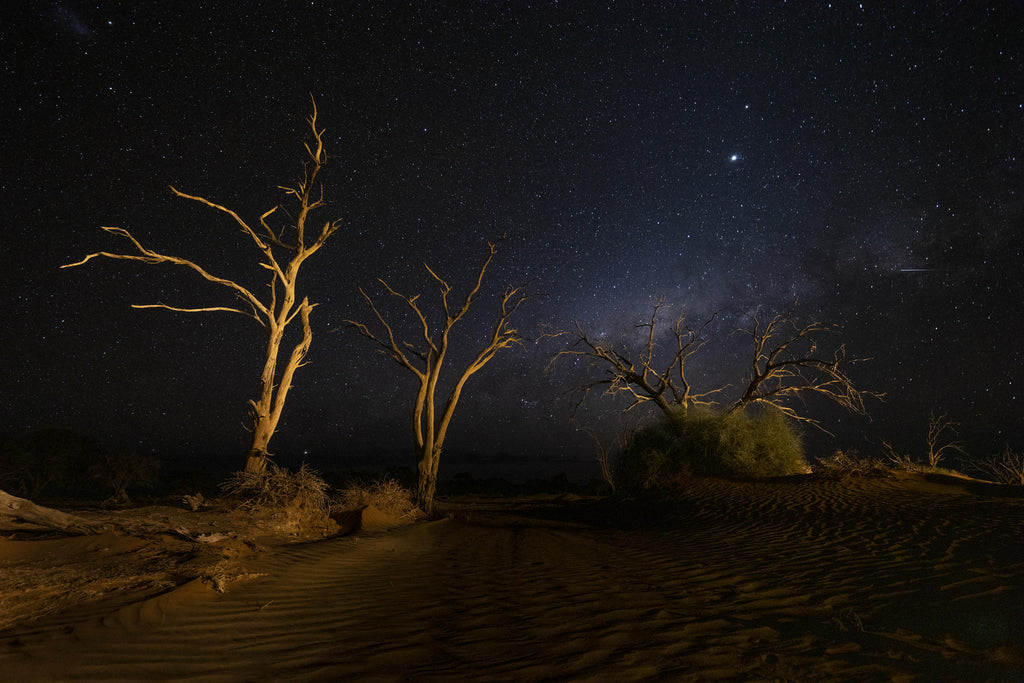 Wilderness Kulala Desert Lodge – Sleep-Out Experience  gallery image 3