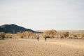 Wilderness Kulala Desert Lodge – Guided Fat-Wheeled e-Bike Excursions  gallery image 1