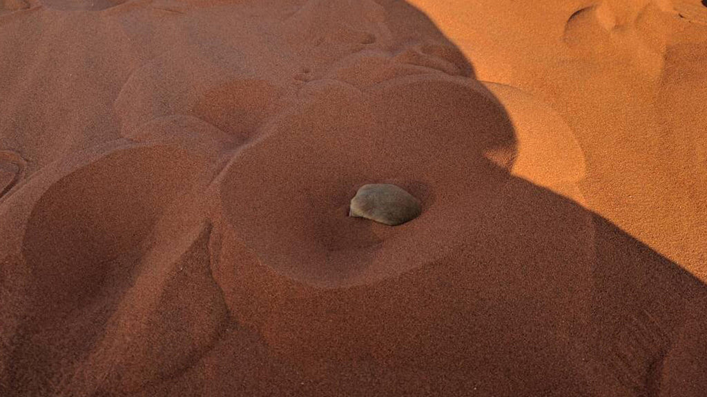 Living Dunes gallery image 5