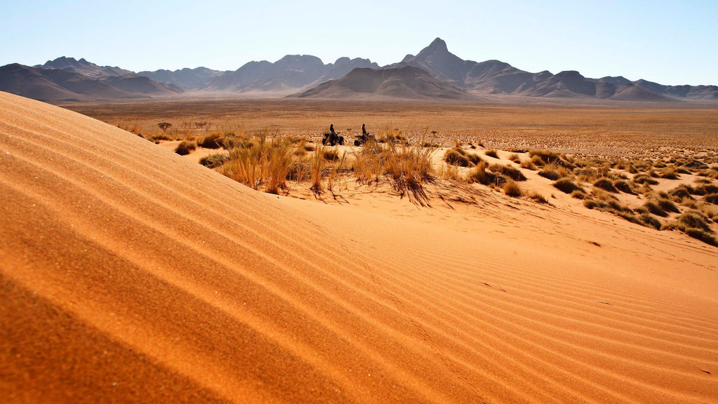 Living Dunes gallery image 9