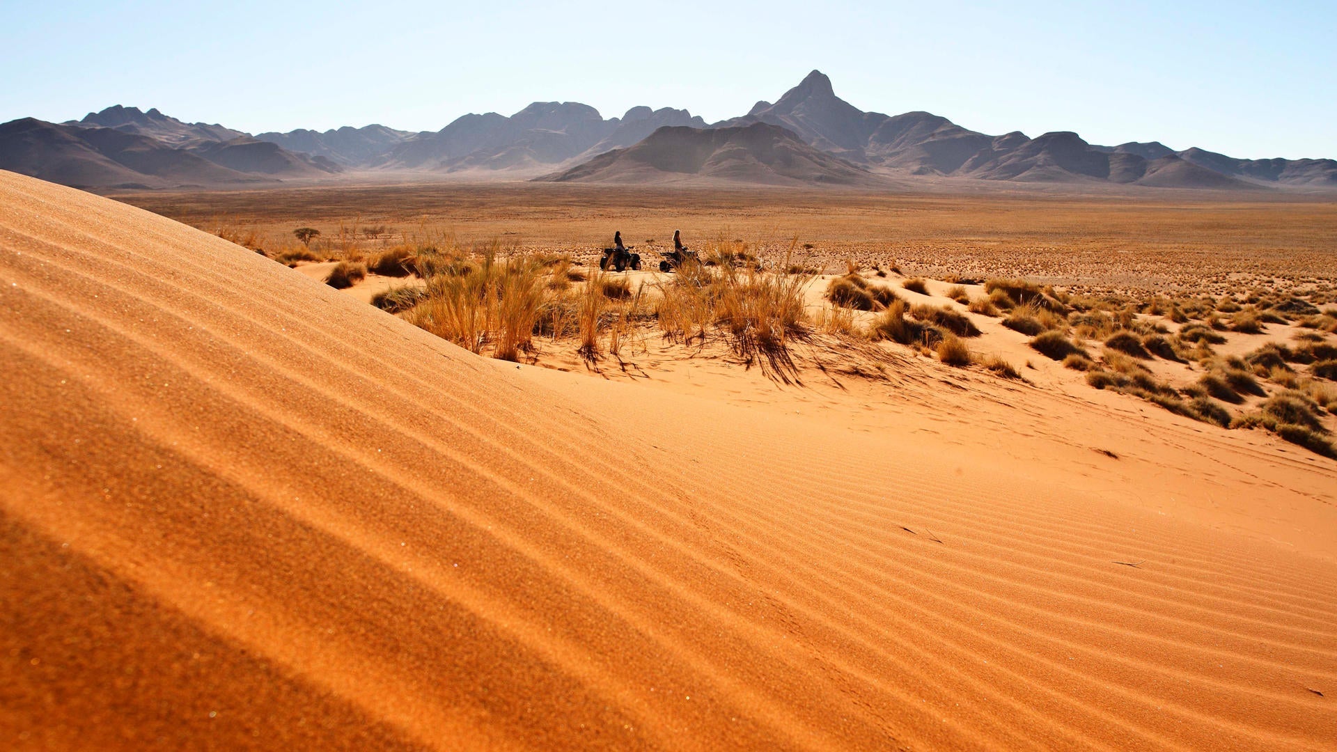 Living Dunes gallery image 9